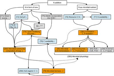 Resistant Soil Microbial Communities Show Signs of Increasing Phosphorus Limitation in Two Temperate Forests After Long-Term Nitrogen Addition